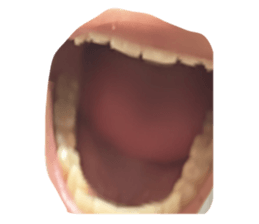 616414488