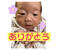 616414562