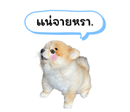616428920