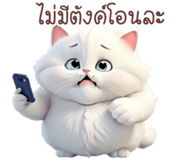 616432024
