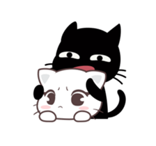 61643265