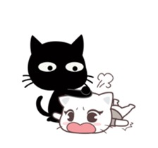 61643270