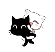 61643277