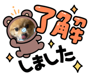 616434342