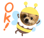 616434348