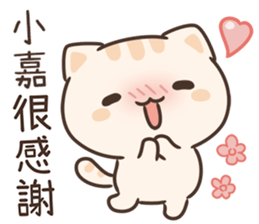 616486226