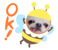 616487777