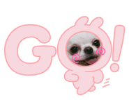616487781