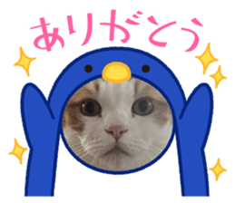 616514638