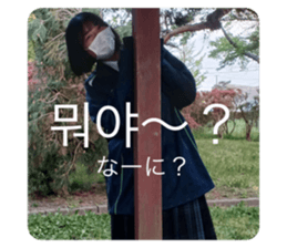 616642722
