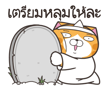เหมียวซ่า : กุ๊กกู๋ รูปที่ 3