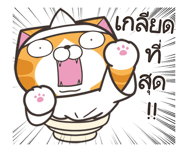 เหมียวซ่า : กุ๊กกู๋ รูปที่ 11
