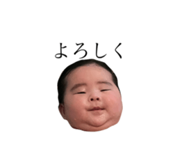 616662536