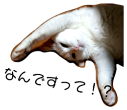 616664362