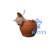 616667467