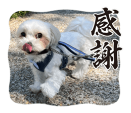 616671618