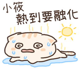 616759805