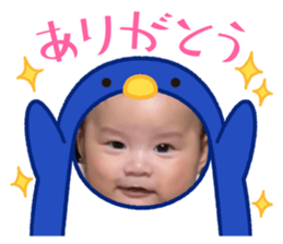 616776336