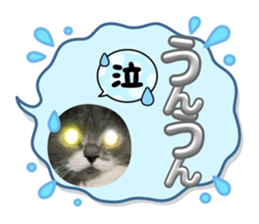 616785175