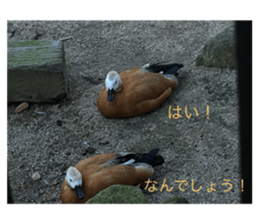 616798063