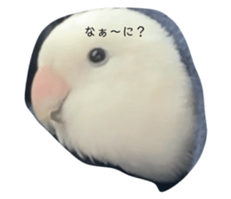 616798100