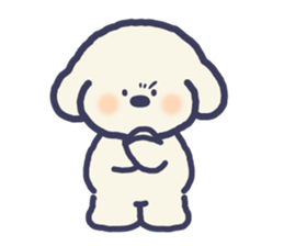woof !! 12