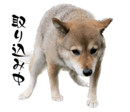 616902128