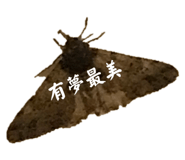 616985350
