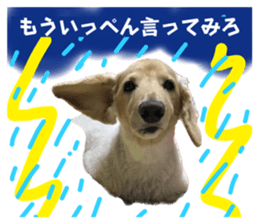 617032001