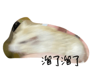 617055389