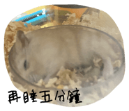 617055396