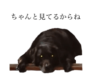 617061545