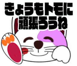 617070755