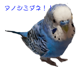 617079731