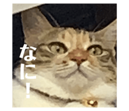 617166591