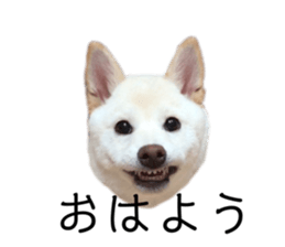 617171556