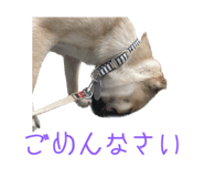 617176971