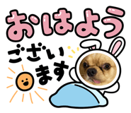 617226496