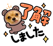 617226500