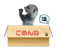 617226509