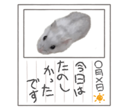 617226519