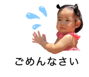 617338341