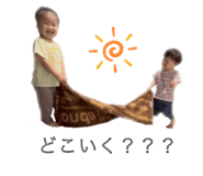 617338355