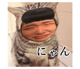 617343865