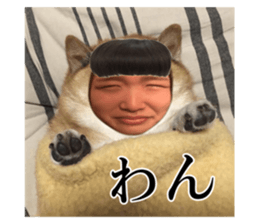 617343868