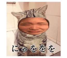 617343875