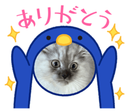 617356211