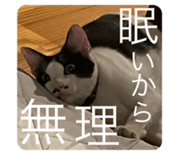 617365521