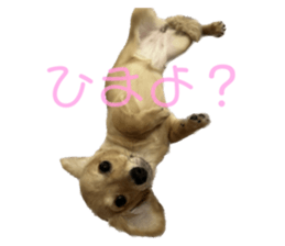 617376834