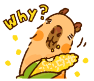 617386970